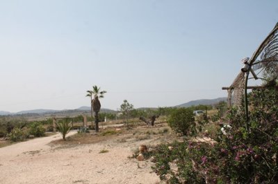 6034img8689