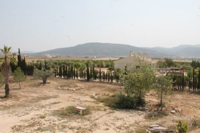 6034img8724