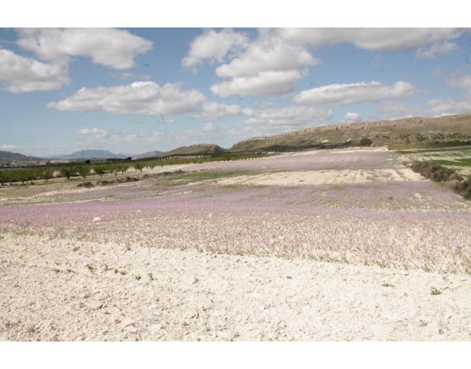 Image No.22-6 Bed Country House for sale