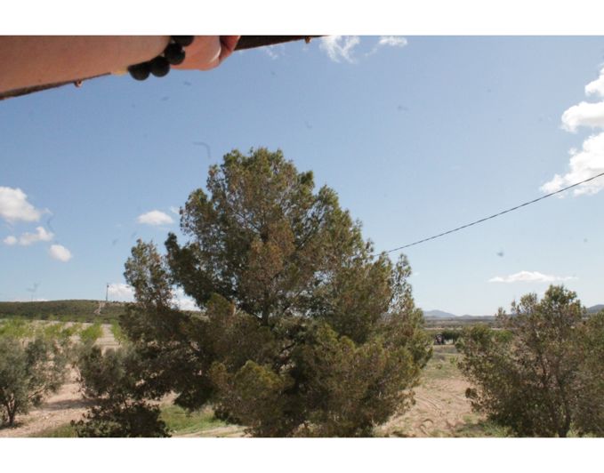 Image No.23-6 Bed Country House for sale