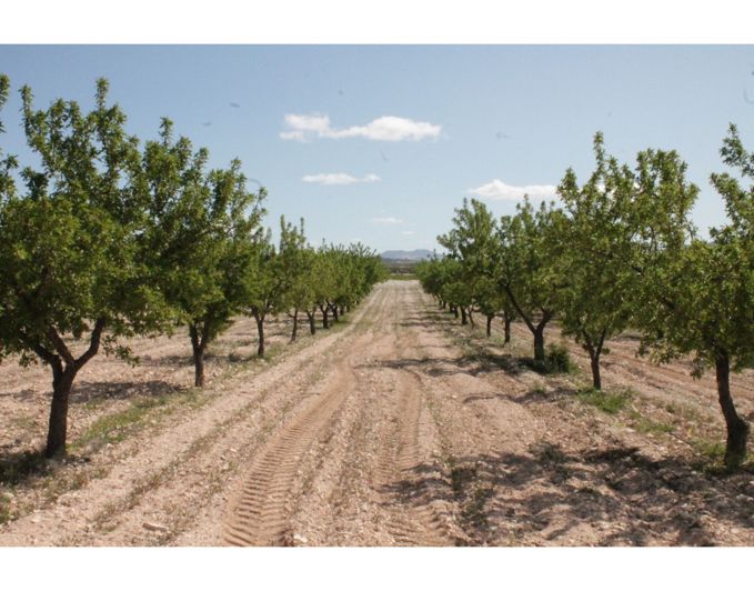 Image No.27-6 Bed Country House for sale