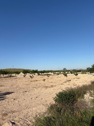 Image No.3-6 Bed Country House for sale