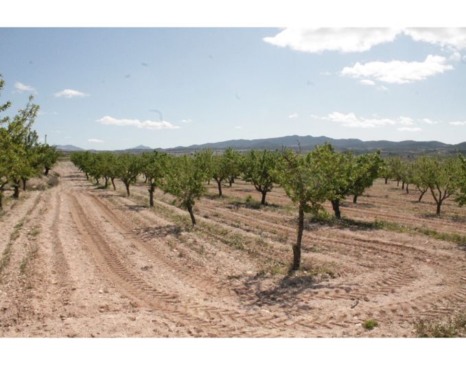 Image No.33-6 Bed Country House for sale