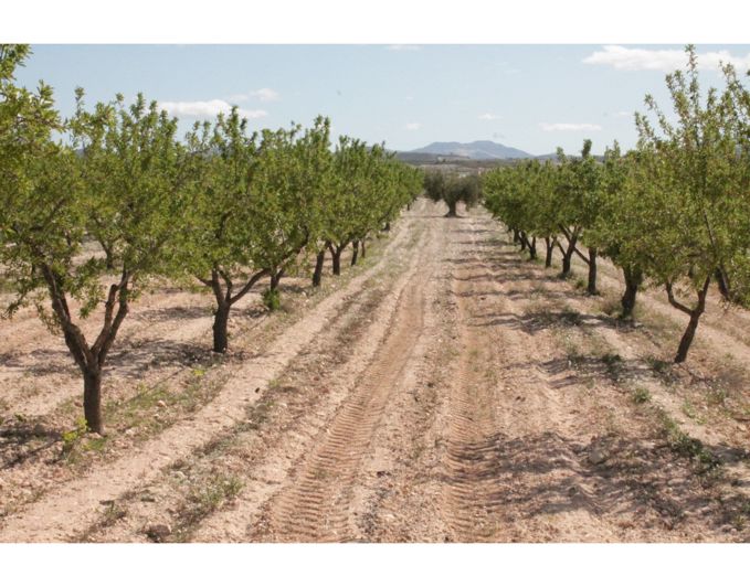 Image No.37-6 Bed Country House for sale