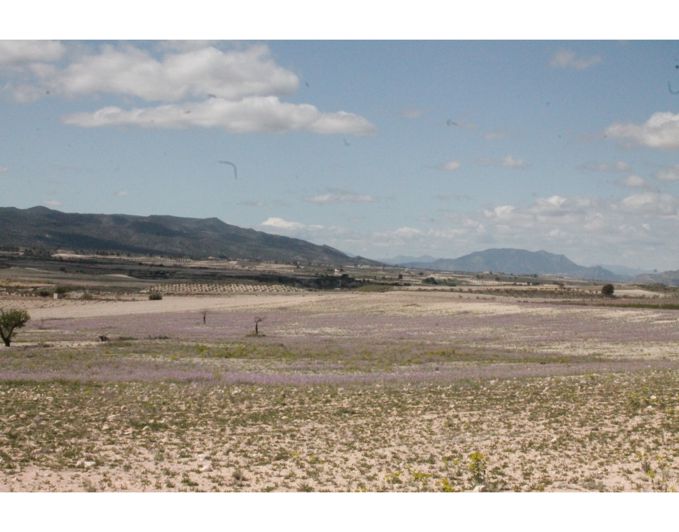 Image No.38-6 Bed Country House for sale