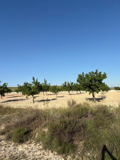 Image No.40-6 Bed Country House for sale