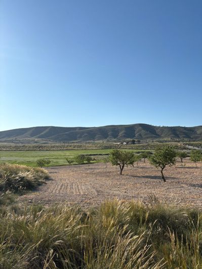 Image No.42-6 Bed Country House for sale