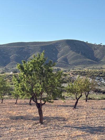 Image No.46-6 Bed Country House for sale