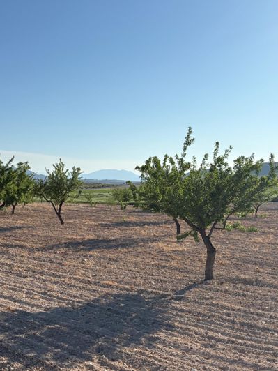 Image No.48-6 Bed Country House for sale