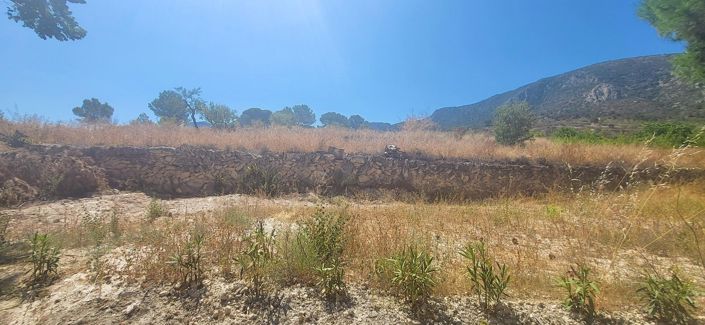 Image No.39-5 Bed Country House for sale