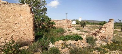 29689-country-house-for-sale-in-pinoso-182170