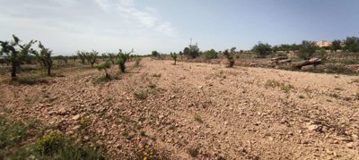 29689-country-house-for-sale-in-pinoso-182169