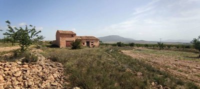 29689-country-house-for-sale-in-pinoso-182169