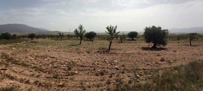 29689-country-house-for-sale-in-pinoso-182169