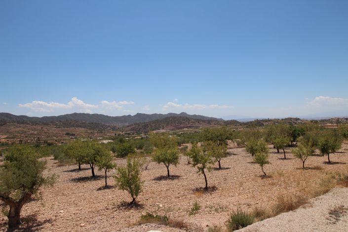 Image No.39-4 Bed Villa for sale