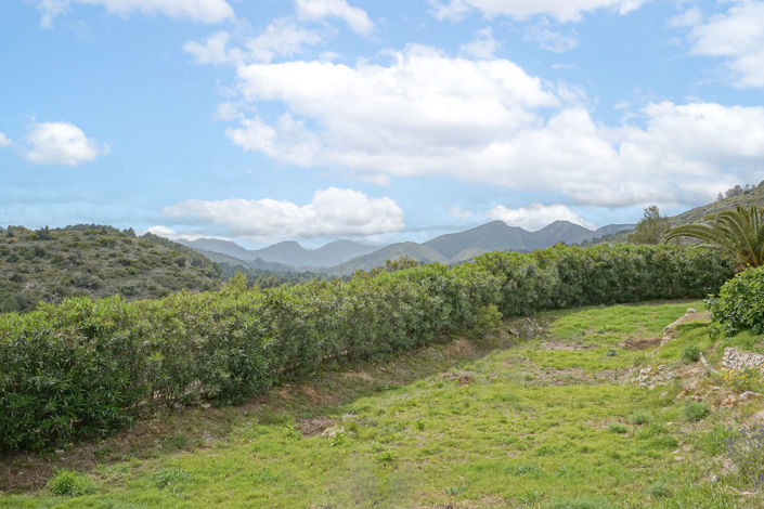 Image No.43-4 Bed Villa for sale