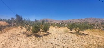 Espana Dream Properties most sold property
