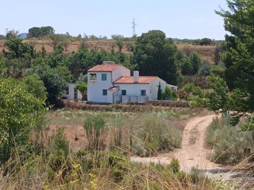 1 - Ayora, Finca