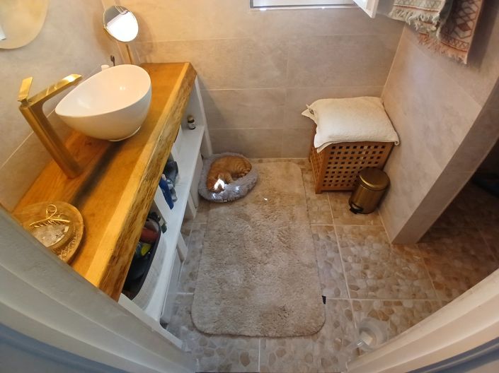 Image No.17-2 Bed Finca for sale