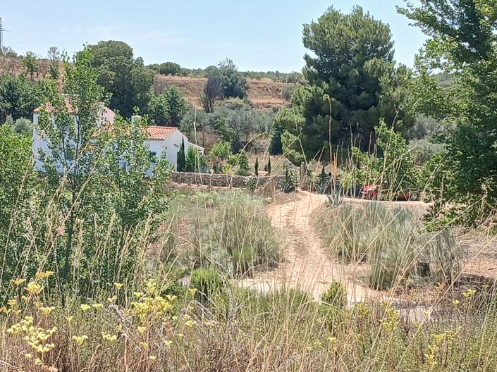 Image No.36-2 Bed Finca for sale