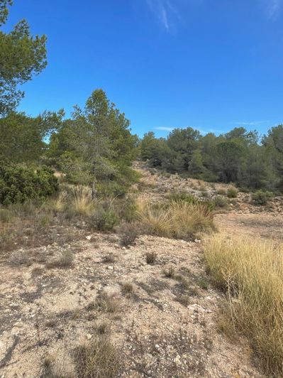 Image No.19-2 Bed Land for sale