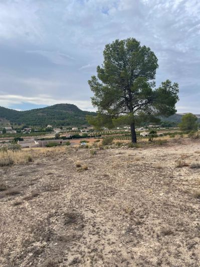 Image No.21-2 Bed Land for sale