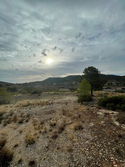 Image No.24-2 Bed Land for sale