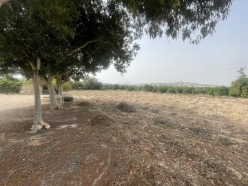 31164-for-sale-in-rojales-10882888-large