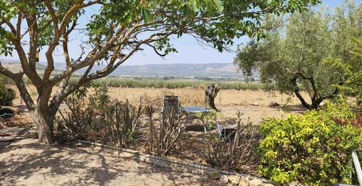 Image No.37-Villa de 3 chambres à vendre à Biar