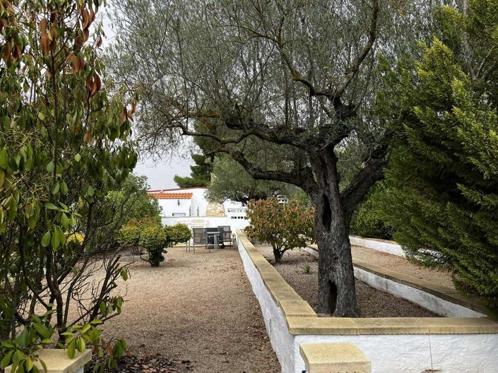 Image No.42-Villa de 3 chambres à vendre à Biar