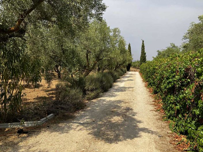 Image No.47-Villa de 3 chambres à vendre à Biar