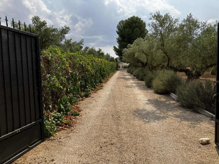 Image No.48-Villa de 3 chambres à vendre à Biar