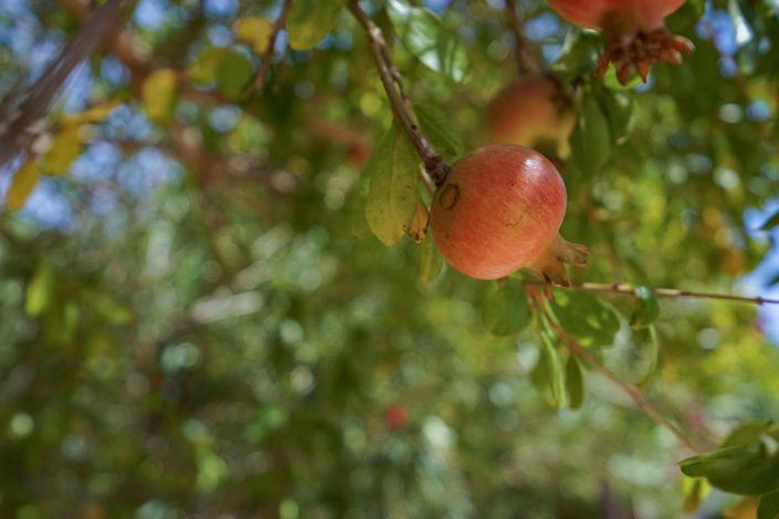 Image No.24-Villa de 3 chambres à vendre à Javea