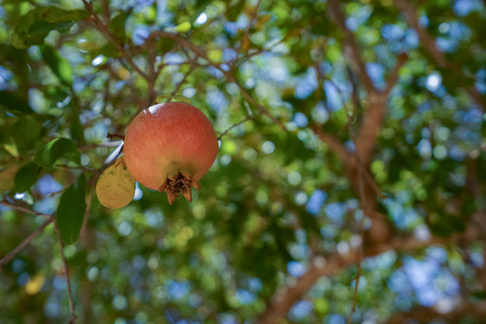 Image No.25-Villa de 3 chambres à vendre à Javea