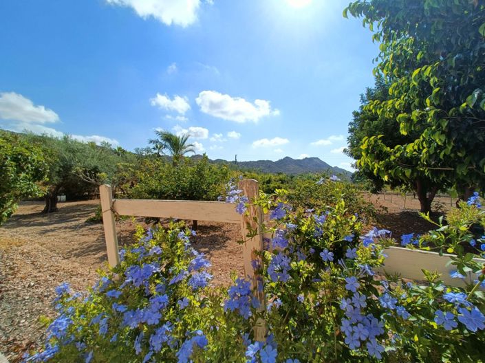 Image No.12-4 Bed Villa for sale