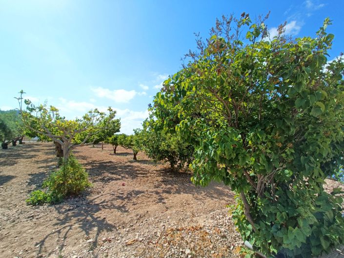 Image No.45-4 Bed Villa for sale