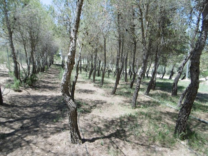 Image No.24-5 Bed Villa for sale