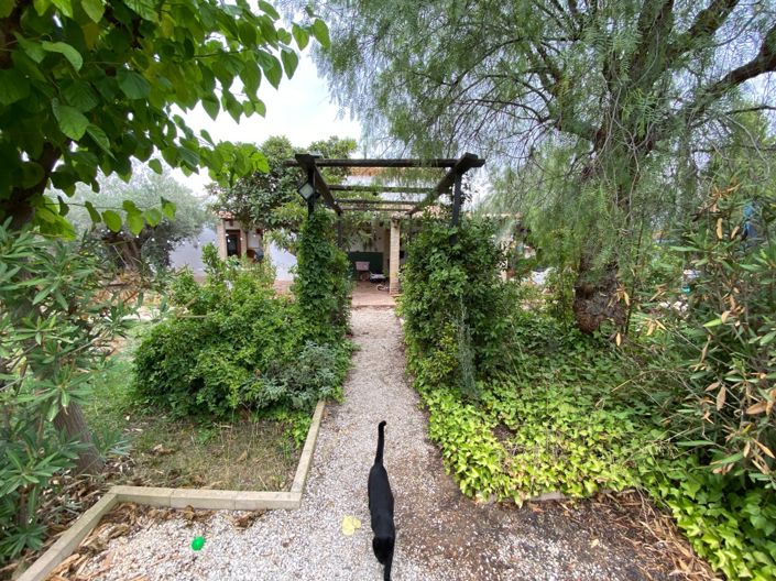 Image No.43-Villa de 8 chambres à vendre à Sax