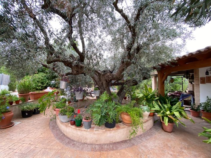 Image No.48-8 Bed Villa for sale