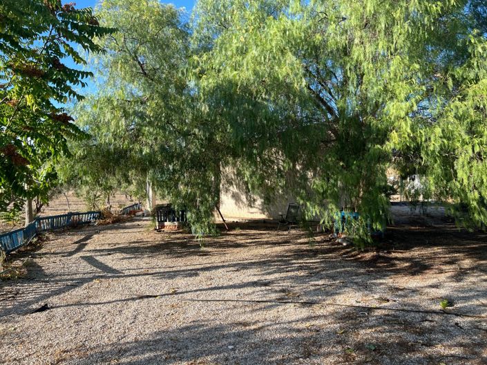 Image No.10-Finca de 1 chambre à vendre à Sax