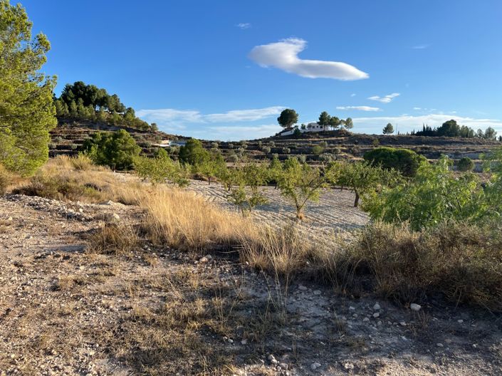 Image No.21-Finca de 1 chambre à vendre à Sax