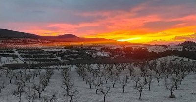 Espana Dream Properties most sold property