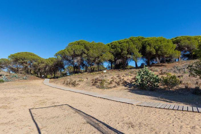 Image No.20-2 Bed Apartment for sale