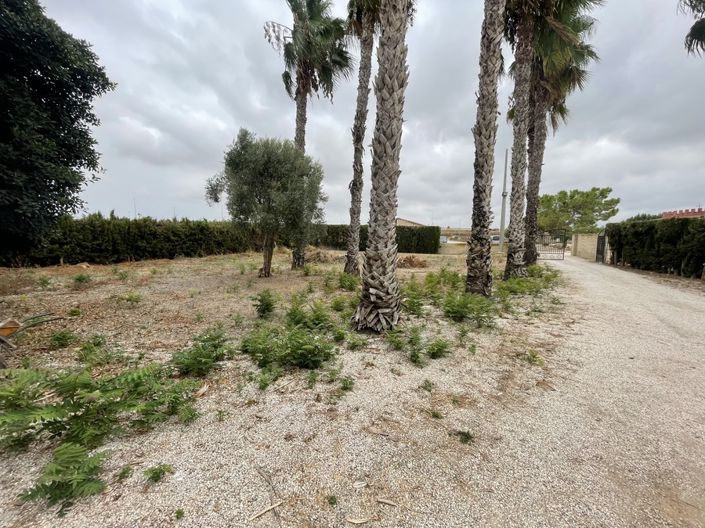Image No.2-Finca de 3 chambres à vendre à Daya Vieja