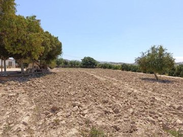 31164-for-sale-in-rojales-10893772-large