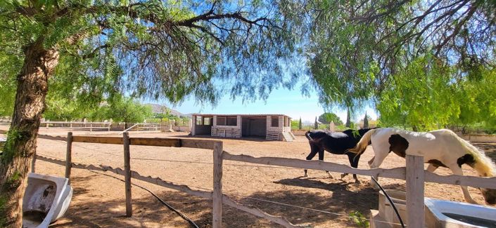 Image No.3-4 Bed Villa for sale