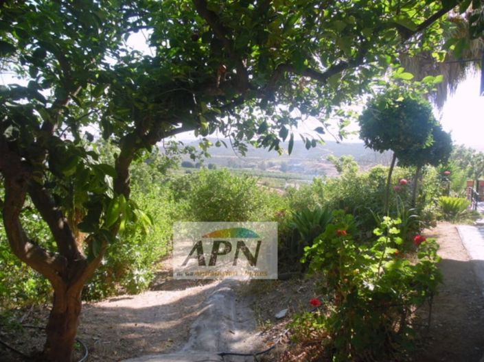 Image No.4-7 Bed Country House for sale