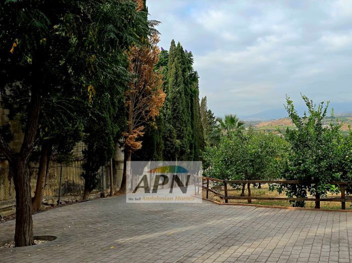 Image No.42-Maison de campagne de 14 chambres à vendre à Pizarra