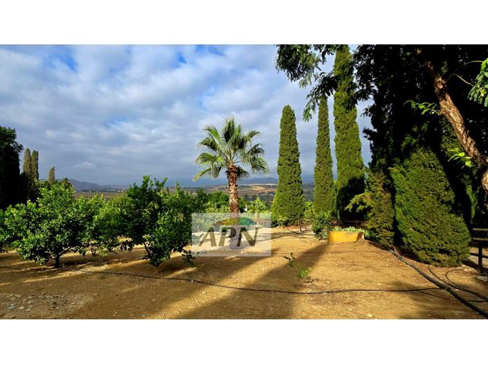 Image No.43-Maison de campagne de 14 chambres à vendre à Pizarra