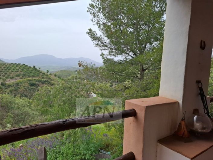 Image No.22-3 Bed Country House for sale